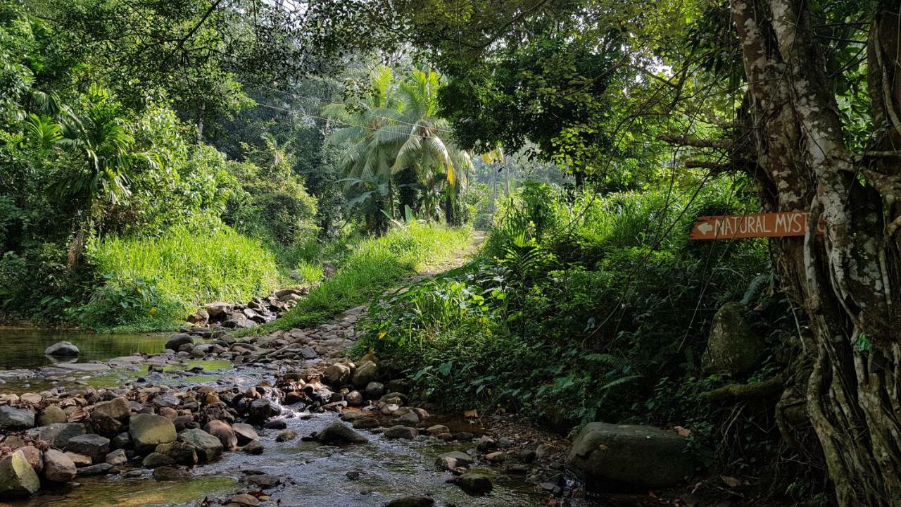 Natural Mystic Sanctuary Deniyaya Exterior foto